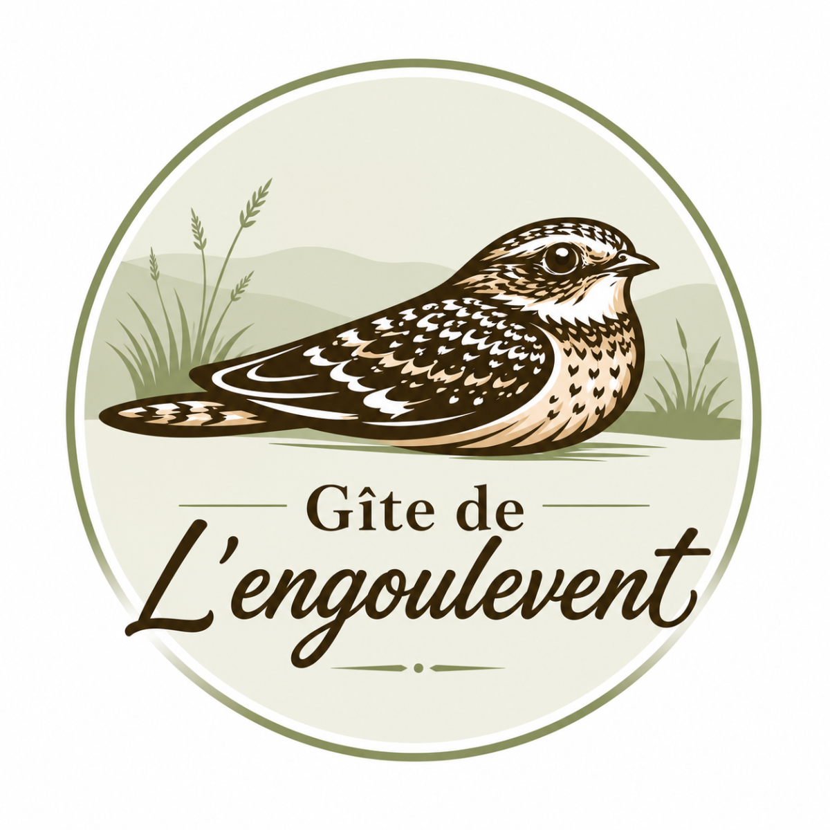 Gîte L'Engoulevent à Mervent